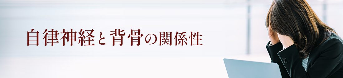 自律神経と背骨FV