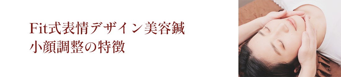 Fit式表情デザイン美容鍼 小顔調整の特徴FV